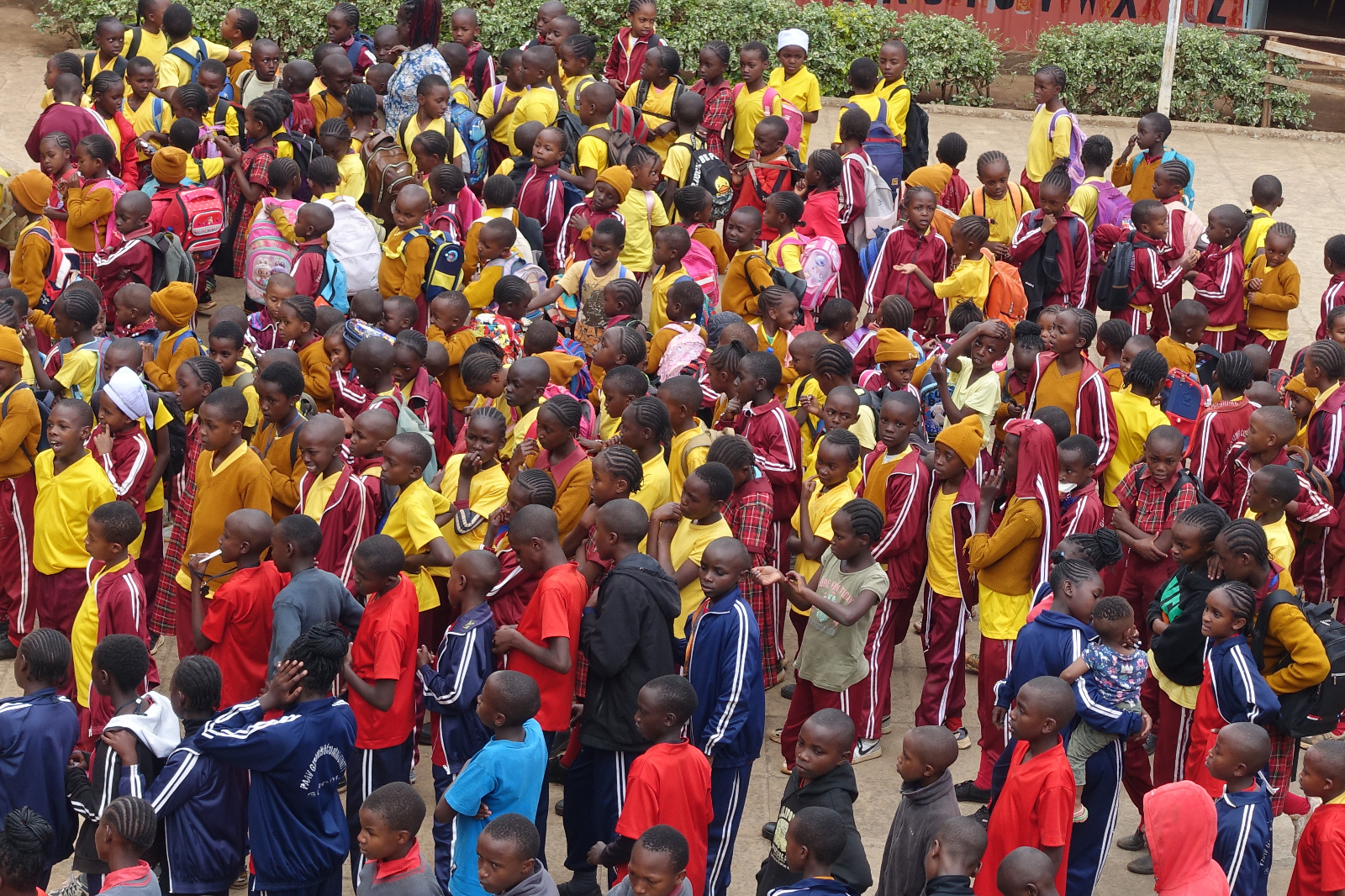WHOLE SCHOOL 1
